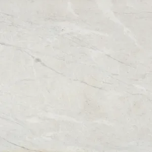 Aravalli Quartzite