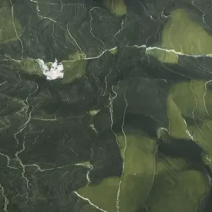 Avocatus Quartzite